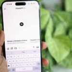 Article 1768351537409